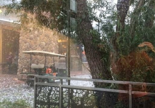 Softball-Sized Hailstones Kill Animals, Injure Guests at Colorado Springs Zoo
