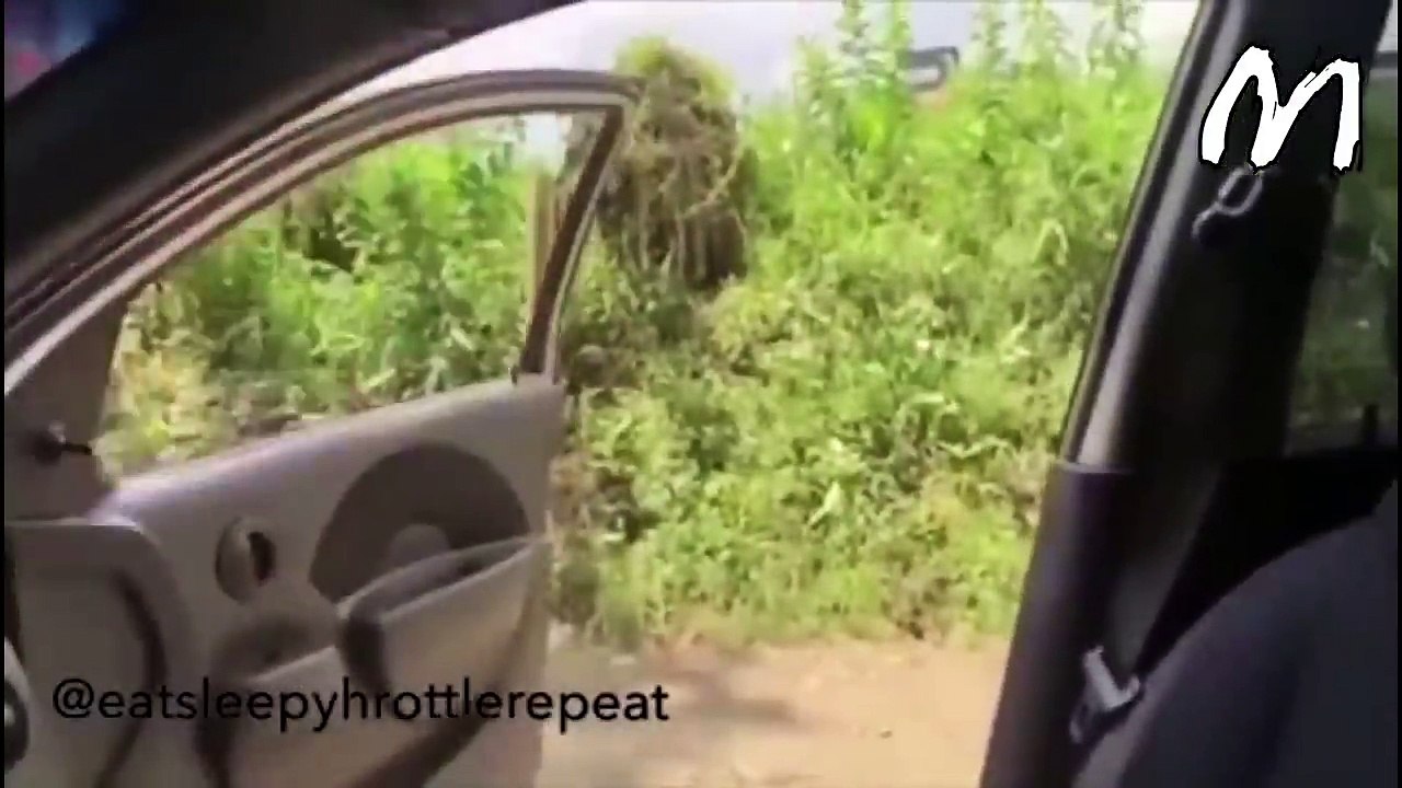 Niesamowite  Śmieszne filmiki  2018  #24