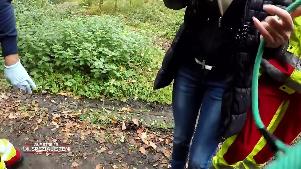 Junge (12) geht Gassi - Hund kommt blutverschmiert allein zurück | Die Spezialisten | SAT.1 TV