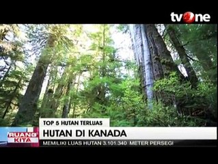5 Negara dengan Hutan Terluas di Seluruh Dunia