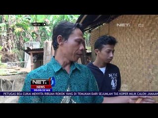 Babi Hutan Liar Menyerang Warga di Daerah Pemukiman - NET 24