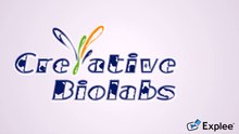 proteins and antibodies