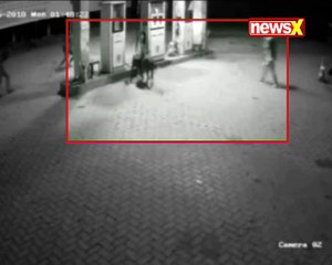 CCTV in Petrol Pump show cow’s theft culprits been cover at Busooru village in Kundapura district