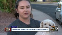 Tempe woman and pet allegedly attacked by 2 dogs