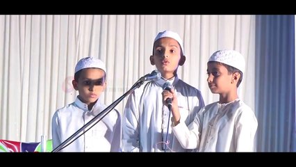 Beautiful Patriotic Song - Ye Hindustan Hindustan Hindustan Hamara hai - Hasan Siddibapa