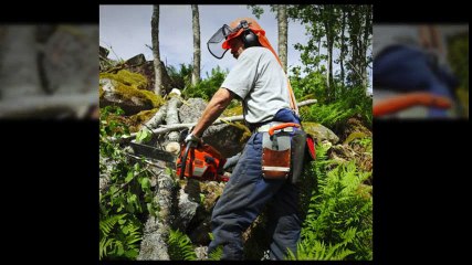 Tree Surgeon Dublin|https://goodfellers.ie/
