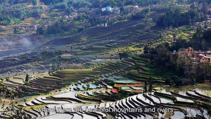 Food of Yunnan: over the bridge rice noodle soup