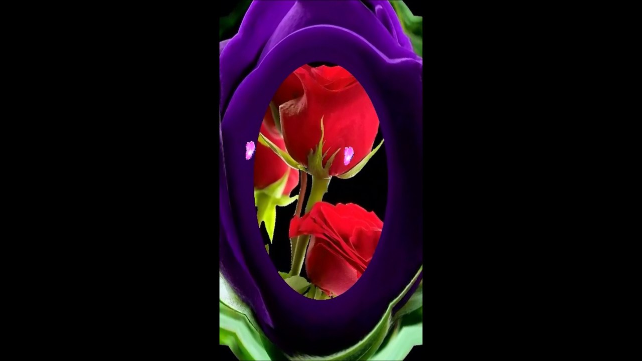 Cora - Du bist der Sommer