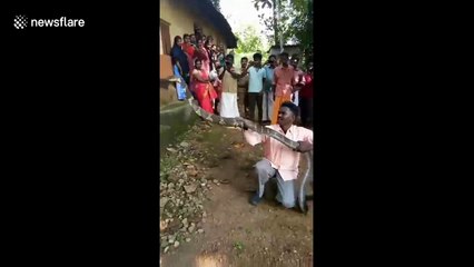 Scary moment king cobra comes face-to-face with handler