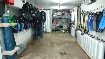 Körfezin "Yeşil" Suları Dalış Tutkunlarını Bekliyor