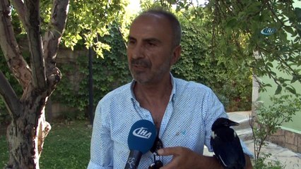 Vanlı iş adamının hayvan sevgisi