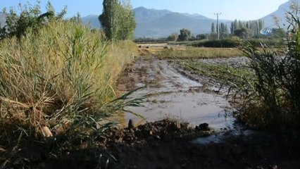 Üretici Sel Sonrası Seralara Girdi, Gördüğü Manzarayla Şok Oldu
