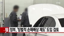 [YTN 실시간뉴스] 정부, '징벌적 손해배상 제도' 도입 검토 / YTN