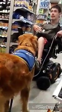 Un jeune handicapé privé de son chien d'assistance dans un Carrefour de Toulouse: Découvrez la vidéo qui fait polémique