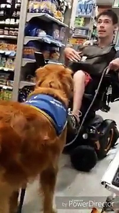 Un jeune handicapé privé de son chien d'assistance dans un Carrefour de Toulouse: Découvrez la vidéo qui fait polémique