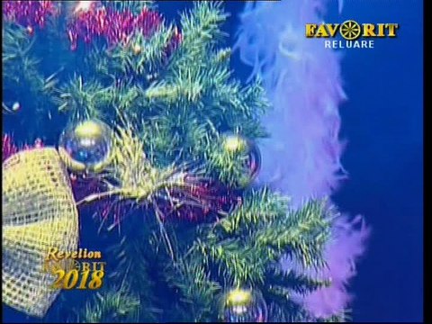 CRISTINA SPATAR (Revelionul tau Favorit) REVELION 2018 part2