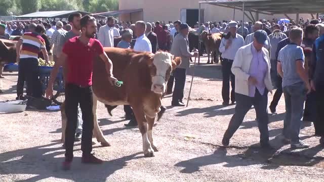 Hayvan Pazarında Kurban Hareketliliği