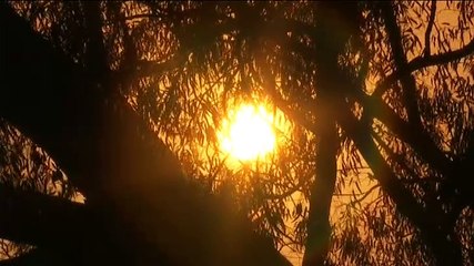 Evacúan a 2.500 personas por un incendio en LLutxent (Valencia) que todavía está descontrolado
