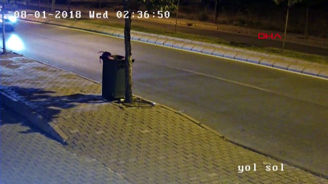 Güvenlik görevlisinin katil zanlısı seri katil çıktı