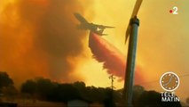 La Californie ravagée par les flammes