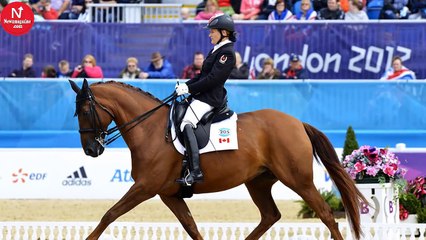Horse Approaches Woman In Wheelchair – Moments Later, The Entire Crowd Falls Silent