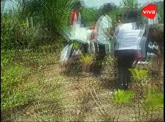 Pesona Hutan Bakau di Pantai Ayah