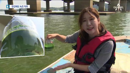 한강에서 녹조 악취…무더위에 일찍 온 불청객