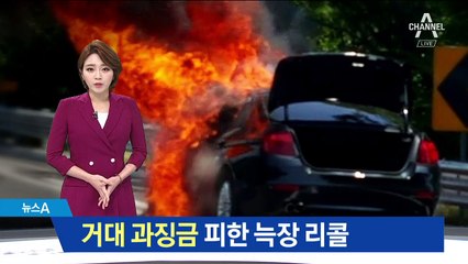 BMW 징벌 못 하는 현행법…‘늑장 리콜’에 한몫?