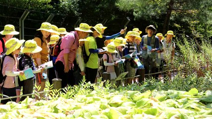 [대전·대덕] 한의학연, '제7회 본초 탐사대' 열어 / YTN