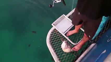 SHARK FISHING and MONSTER Stingray = BROKEN REEL!!