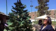 The U.S. Embassy in Asmara wishes everyone a Merry Christmas and happy holidays! Here is a short video of us decorating the Embassy tree!