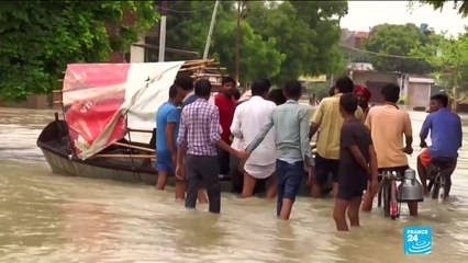 Could Earth really enter a permanent ''hothouse'' state?