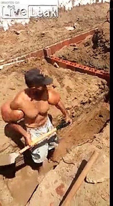 Cet ouvrier a les plus gros bras du monde ! Excroissances de muscles !