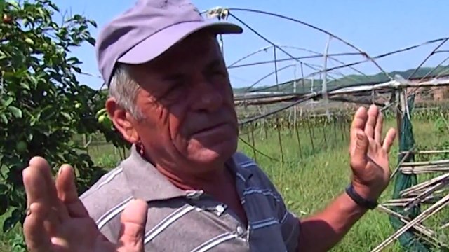 360Grade - Klesta - Nuk ka treg per shitje - Fermeret braktisin serat