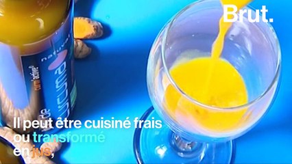 Le curcuma, une épice pleine de bienfaits