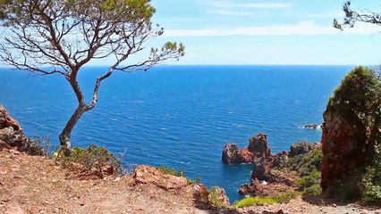 A vendre - Appartement - LA GARDE (83130) - 4 pièces - 80m²