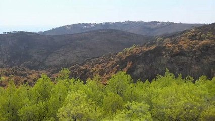 Πυρκαγιά στο Μάτι: Ο παράγοντας κλιματική αλλαγή