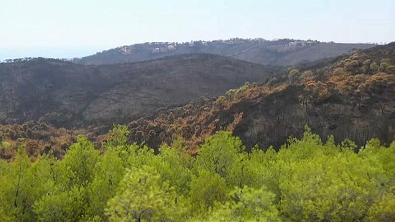 Πυρκαγιά στο Μάτι: Ο παράγοντας κλιματική αλλαγή