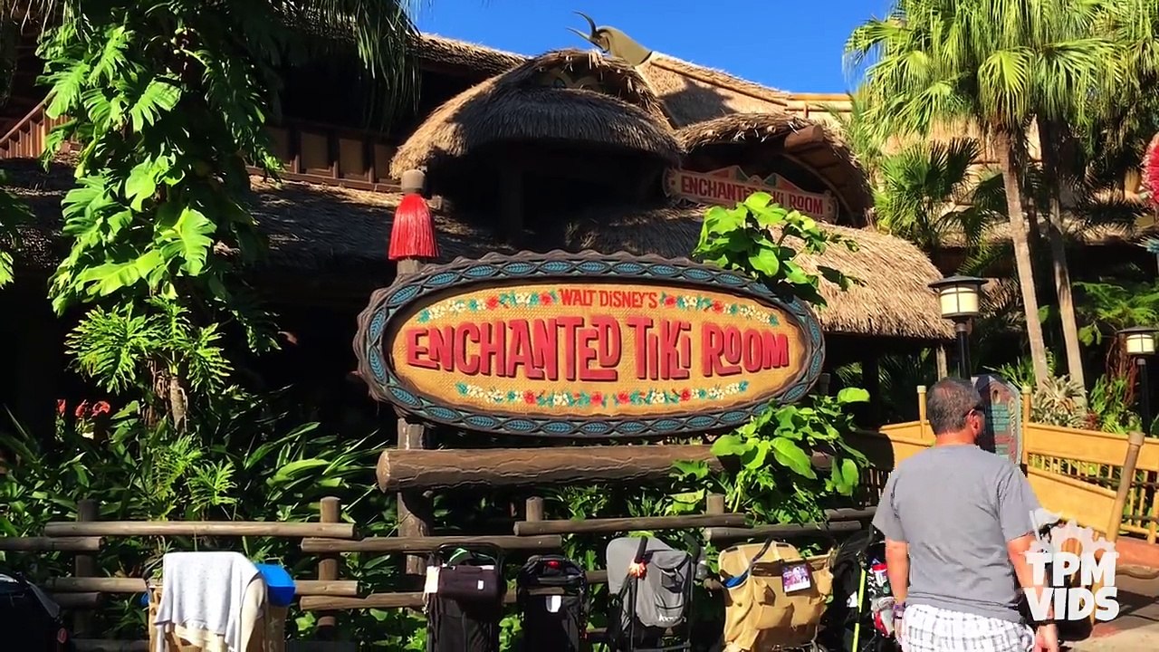 Top Disney World Rides vs Disneyland Rides!