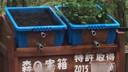 L'impact de la déforestation sur les inondations (Expérience)