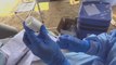 Ebola : la RDC annonce de nouvelles vaccinations