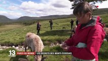 Écosse : à la découverte du parc de Cairngorms