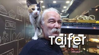 Θεσσαλονίκη: Παππούς κάνει βόλτα με την γάτα στον ώμο | Old man walks with a cat on his shoulder taifer