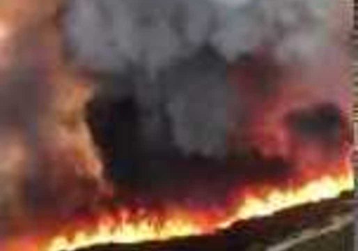 California Wildfire Burns Over 4,000 Acres in National Forest