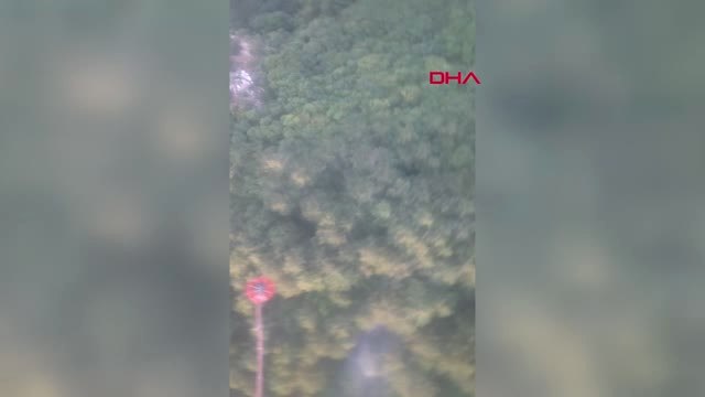 Bursa Uludağ Eteklerinde Orman Yangını