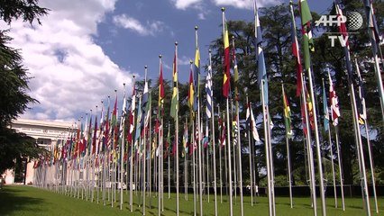 ONU celebra reabertura da fronteira com Venezuela