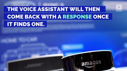 Amazon’s Rolling Out Update For Echo Devices