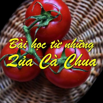 Bài học đầy quý giá của cô giáo từ những quả cà chua dành cho các em học sinh!