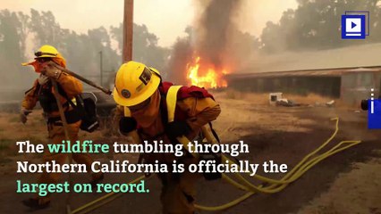 Mendocino Complex Fire Largest Wildfire in California History