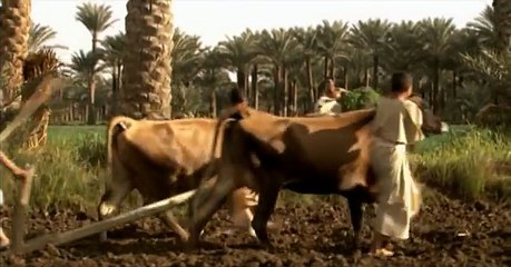 En busca del faraón perdido  Documental